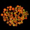AAA+ Orange Ethiopian Opal 4mm Loose Gemstone Round Cabochon | Natural Ethiopian Welo Opal Multi Fire Precious Gemstone Flat Back Cabs Lot - Image 2