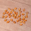 Natural Citrine Gemstone 4x5mm Oval Cabochon | AAA+ Citrine Semi Precious Gemstone Flat Back Smooth Cabs | Citrine Loose Gemstone Cabochon - Image 3