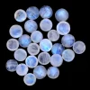 Natural Rainbow Moonstone Blue Fire Gemstone 10mm Round Cabochon | Moonstone Blue Flash Semi Precious Gemstone Loose Round Smooth Cabs Lot - Image 4