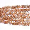 AAA Fossil Coral Gemstone Briolette Smooth Pear 7x11mm Beads | Natural Fossil Coral Semi Precious Gemstone Briolette for Jewelry | 8" Strand - Image 2